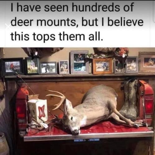 246341210_414709536771217_3483493259849363547_n