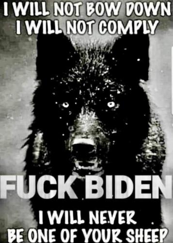 FB_IMG_1635555180451