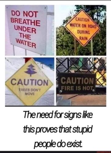 FB_IMG_1635564214880