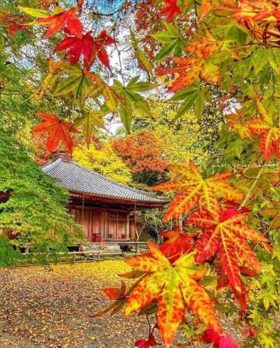 250627588_425568982272443_5711431904685292934_n