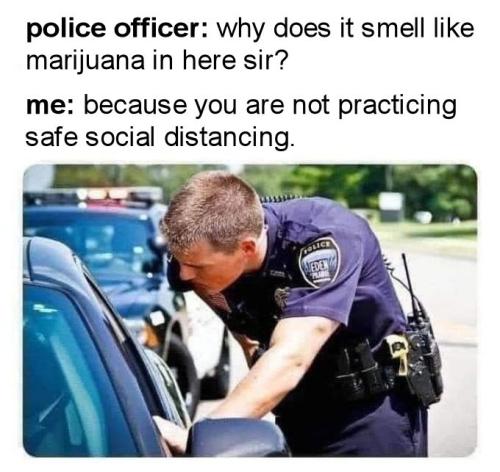 why does it smell like marijuana in here