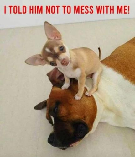 244890953_1016888819145040_5205704853917251476_n