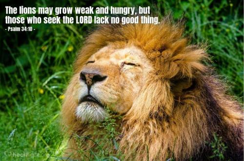 000000000000000000000000000000000000000000000000000000000000000000000000000000000000000000000000000000000000000000000000000000000000000000000000000000000000000000000000000000000000000000000000000mnbhyuolkmnbg