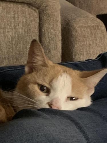 CDADA22F-C806-4A6B-AFDB-4D2EF8F170C9