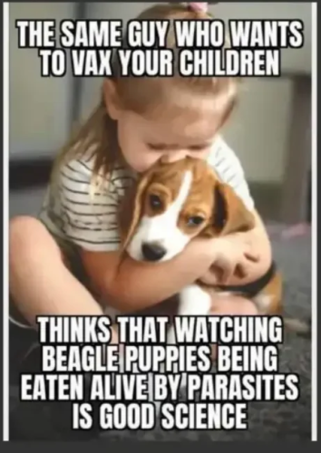 13:15:49 GMT-0400 (EDT)