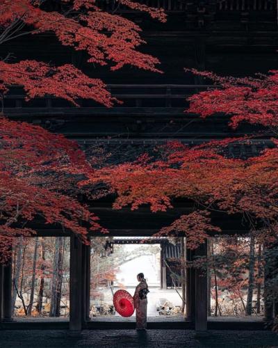 248351366_429761395157775_3676285339885132289_n