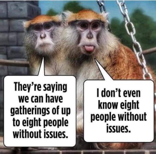 245448059_10158805962638878_3712993025323825050_n