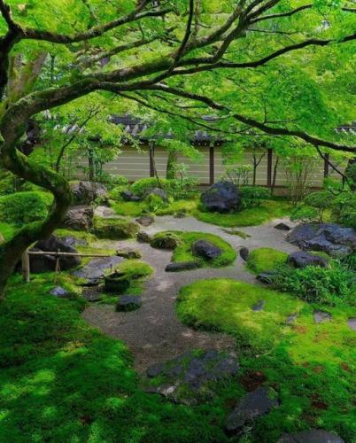 244696336_3056439787960569_5296152036780074432_n