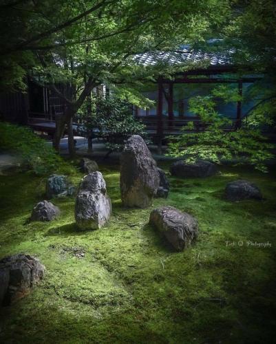 244723774_412759060220102_2782796691707475192_n