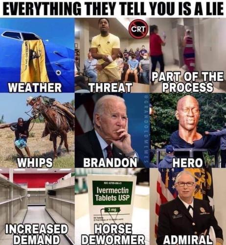 image_1635254097.141