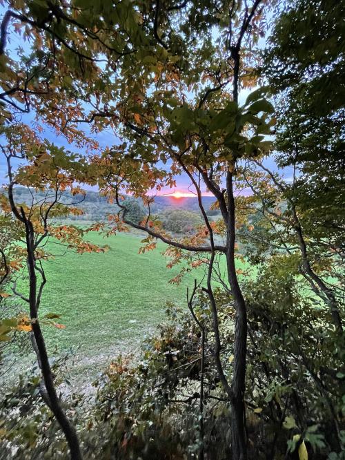 83330E06-CB43-43F9-B23F-E44617769914