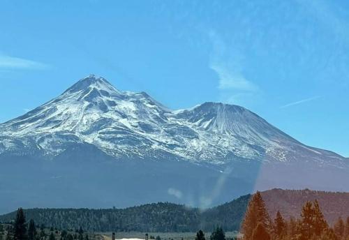 received_565538764513819