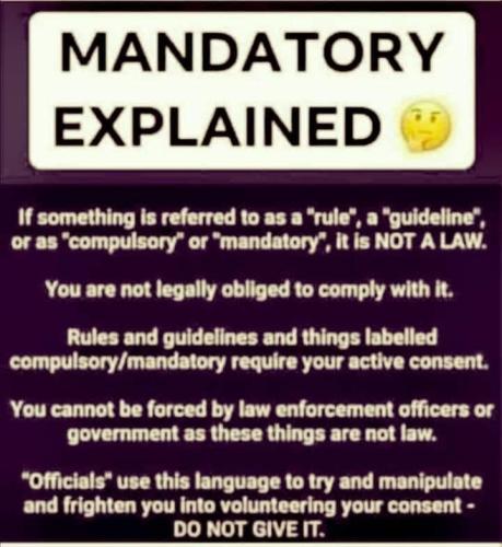 238660236_4514258015251211_4774953739725318041_n