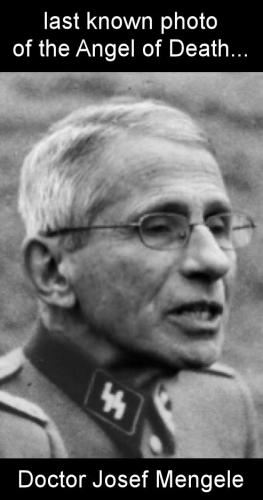fauci145
