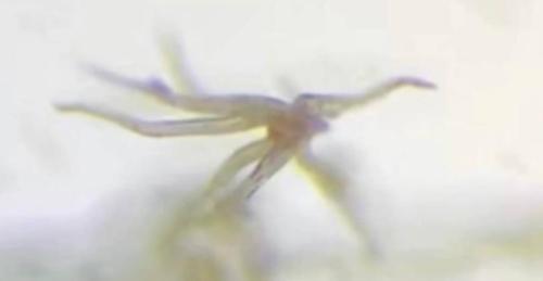 10:38:09 GMT-0500 (CDT)