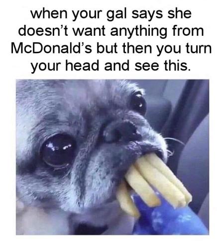 doesnt want anything from mcdonalds