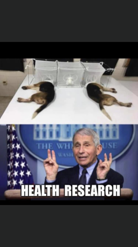 08:49:38 GMT-0400 (EDT).image