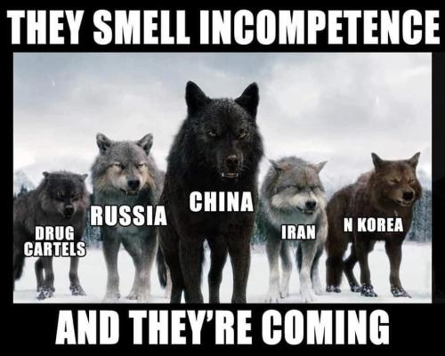 image_1633929217.034