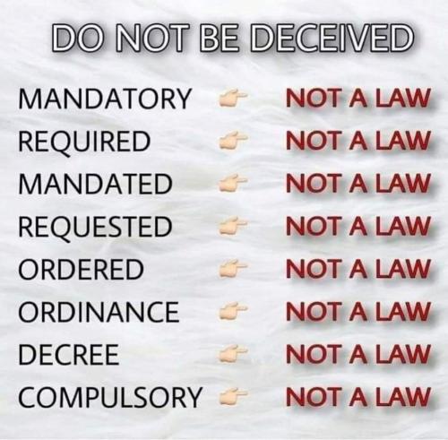 FB_IMG_1633907209710