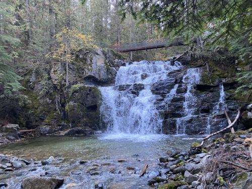 34D0C3D7-3159-4596-95E5-7059D4DAB288