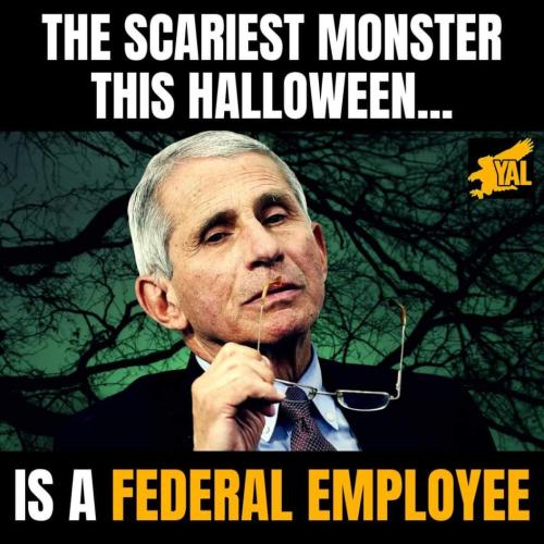 FB_IMG_1635714062126