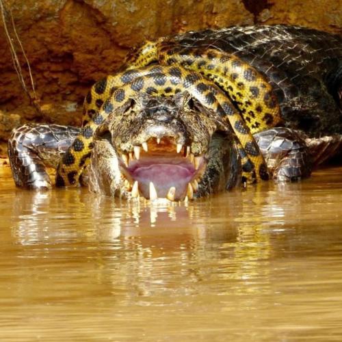 tumblr_d645033ceedb789a46d1060fbfb1883d_d3445e9a_1280