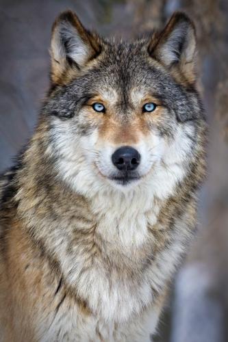 f2ee6334e98f2cbb809eff906cd46ae5