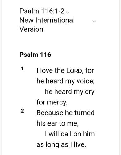 Screenshot_20211003-101537_DuckDuckGo