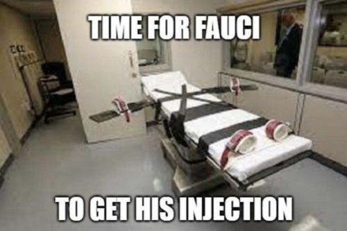 fauci133