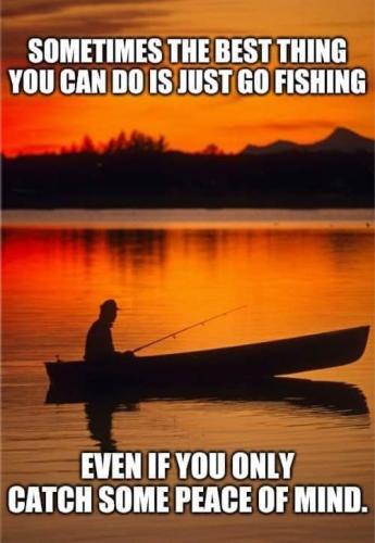 received_300799495017775