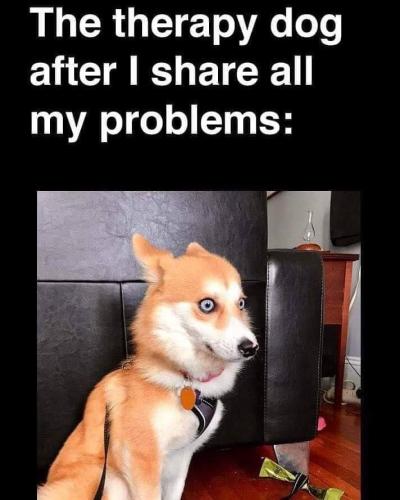 244435134_10217195558081539_7372109887093489841_n