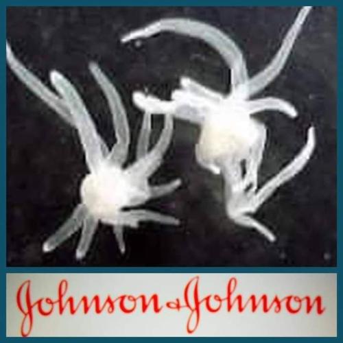 23:17:11 GMT-0400 (EDT)