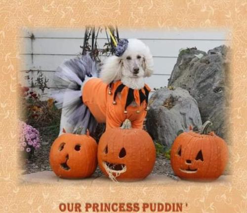 FB_IMG_1635417456410