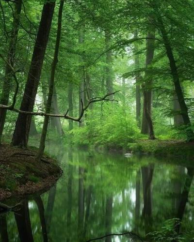 ,                                                                                                                                                                                                                       0  aa