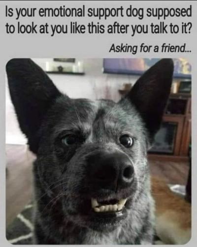 244423182_4727622420624059_4799090976879211206_n