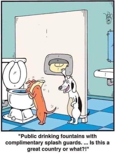 241969968_1930563757124632_8803891652825120854_n