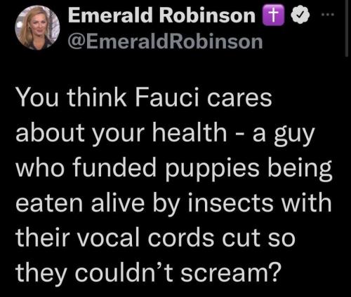 248856195_421444233021697_2655075180113191570_n