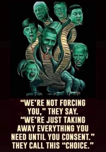 CDC7D84C-179A-4501-87B7-1E4D82D99424