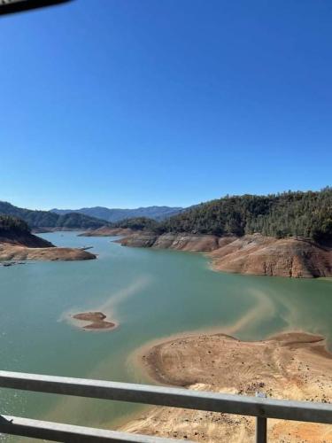 received_920069538866930