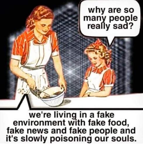 lies23