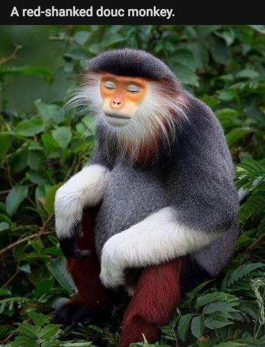 Screenshot_20211018-225756_Reddit