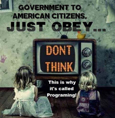 51847260_2175963532485766_8543626563852173312_n