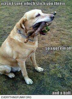 FB_IMG_1635436734579