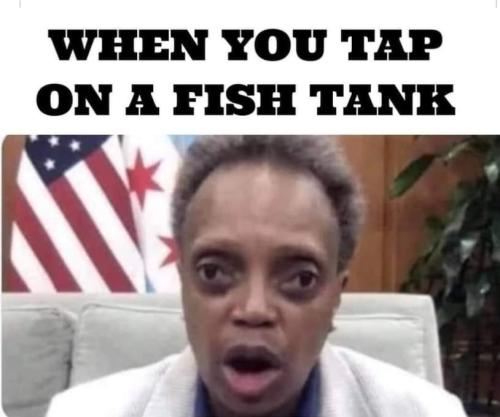 Screenshot_20211030-150112_DuckDuckGo