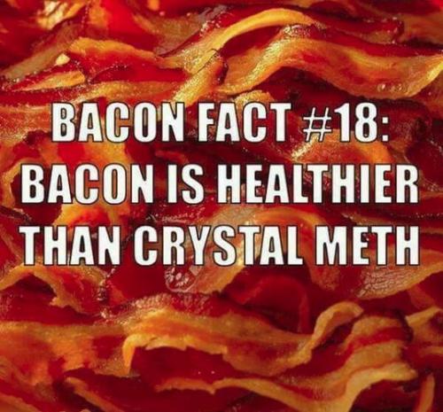 bacon08