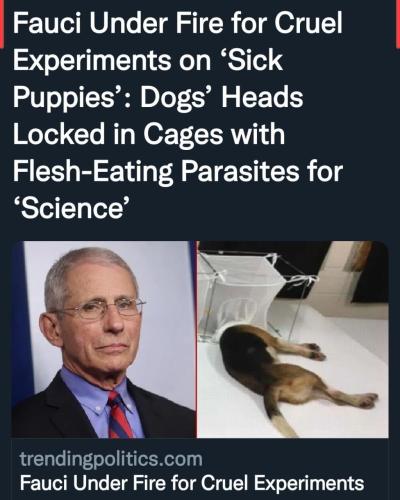 13:26:23 GMT-0500 (CDT)