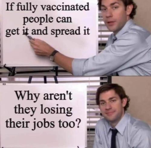 FB_IMG_1633133432081