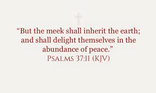 E49DE699-13EC-4B70-8D53-A260999605D2