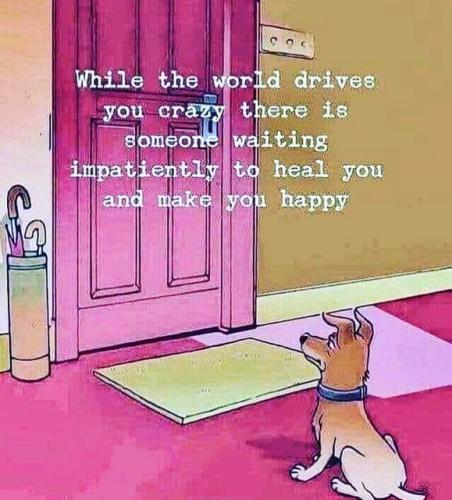 246179218_10162043051058079_3984827294896421659_n