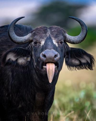 245927171_3015658682015369_2431896601467457635_n